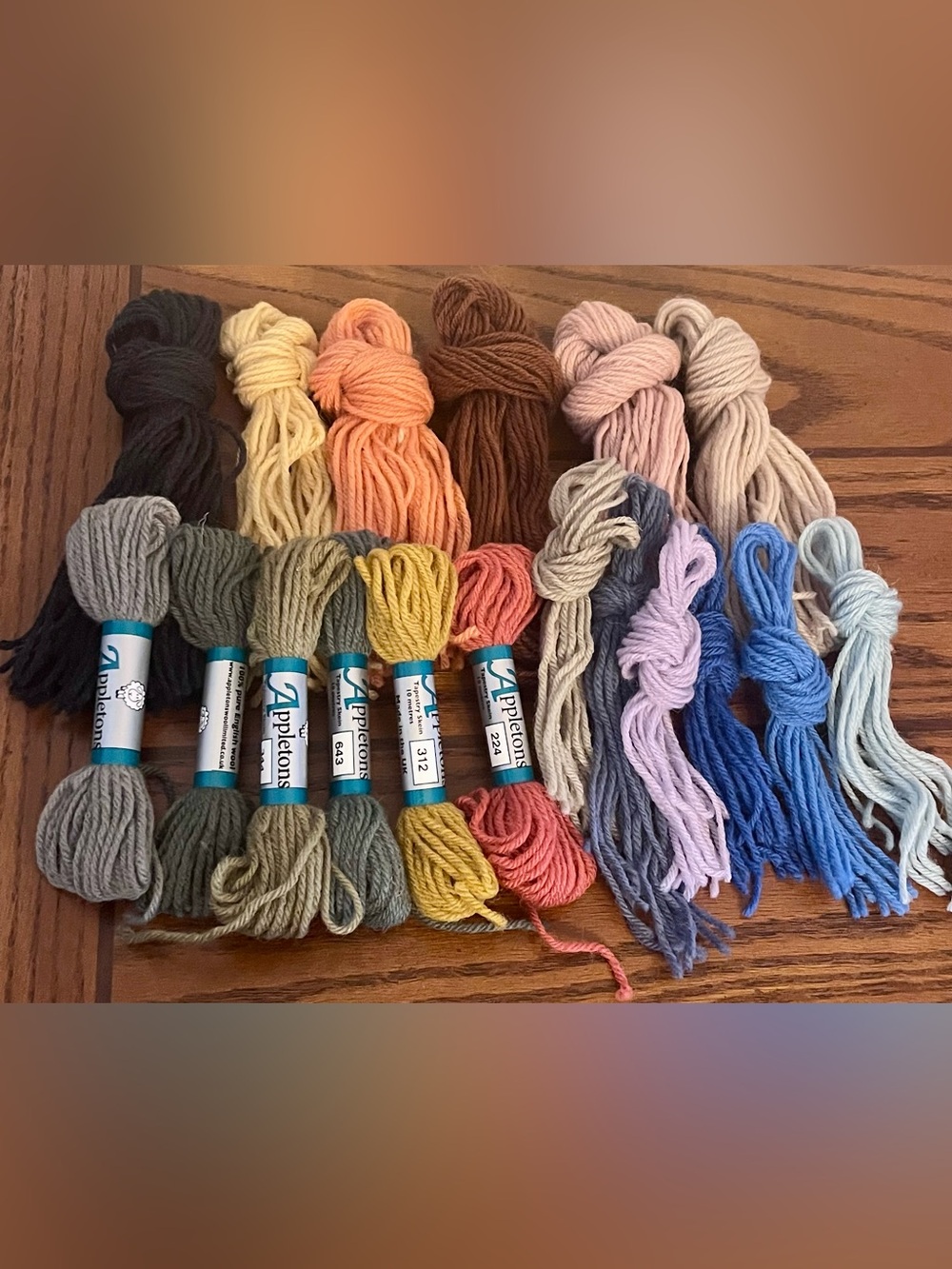 Appleton’s Tapestry Wool Thread Lot - Multicolor